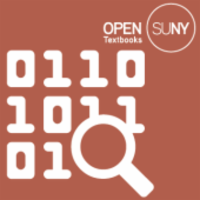 The Missing Link: An Introduction to Web Development and Programming icon