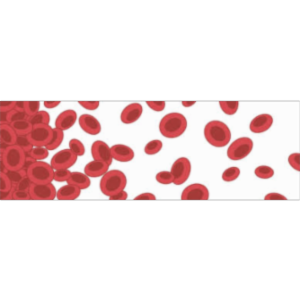 Iron Deficiency Anemia icon