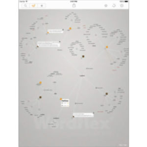 Wordflex Touch Dictionary App for iPad icon