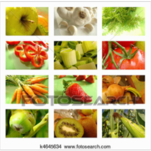 An Introduction to Nutrition icon