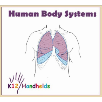 Human Body Systems icon