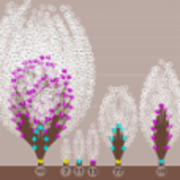 Math Garden App for Android icon