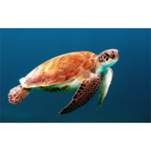 Unsplash | Free High-Resolution Photos icon