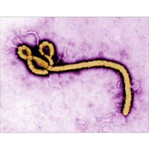 Safety and Health Topics | Bloodborne Pathogens and Needlestick Prevention | Occupational Safety and Health Administration