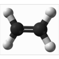 Organic Chemistry for Health and Life Sciences II icon