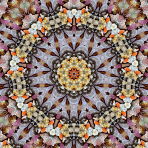 Beginning / Elementary Algebra