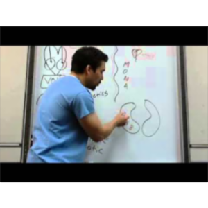 CHF drugs vs. MI (heart attack) drugs *Part 1* icon