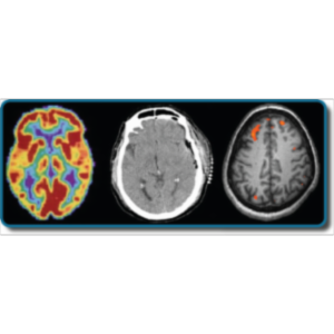 PSY03 - Psychology - Biopsychology icon