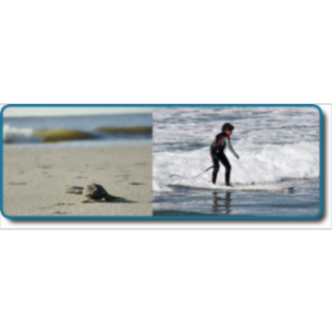 PSY06 - Psychology - Learning icon