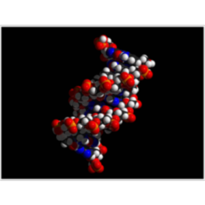 AP02 - Anatomy Physiology - The Chemical Level of Organization