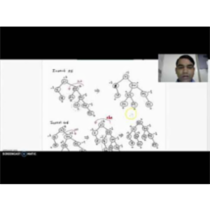 AVL Tree Example icon