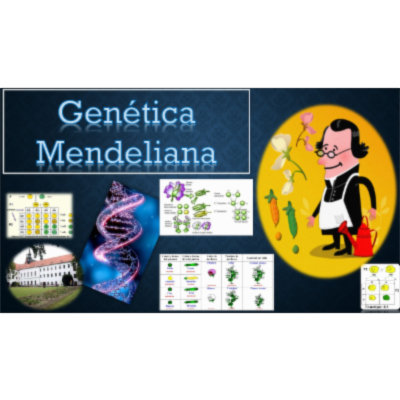 OVA GENETICA MENDELIANA