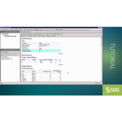 Using SAS® Predictive Enterprise Miner icon