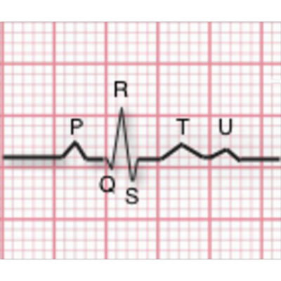 EKG Interpretation | Tutorials and Quizzes icon