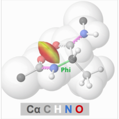 Quiz: Ramachandran Principle, Phi and Psi Dihedral Angles in Proteins icon