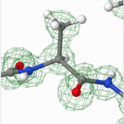 Protein Structure Terminology and Concepts icon