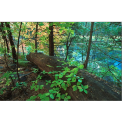 MYSTICISM: The Dark Night of the Soul, with help from Evelyn Underhill icon