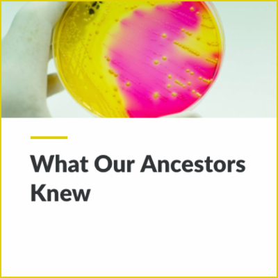 Digital Lesson - What Our Ancestors Knew | Blending Education icon