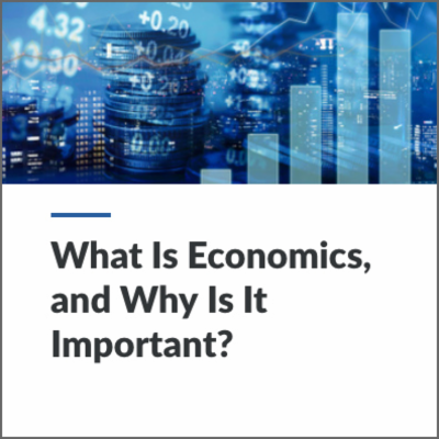 Digital Lesson - What is Economics, and Why is it Important? | Blending Education icon