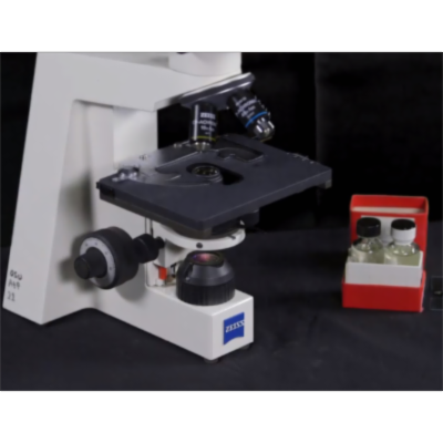 Learn The Compound Microscope | Open Oregon State icon