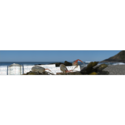 Introduction  - Handbook of Biological Statistics