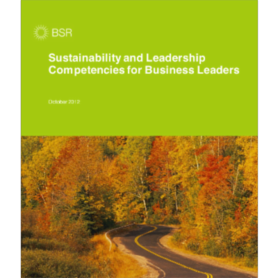 Sustainability and Leadership Competencies for Business Leaders icon