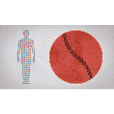 How to sequence the human genome - Mark J. Kiel icon