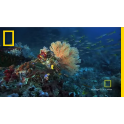 Great Barrier Reef | Exploring Oceans