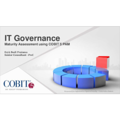 IT Governance - COBIT 5 Maturity Assessment icon