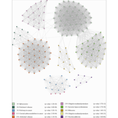CASS: A distributed network clustering algorithm based on structure similarity for large-scale network icon
