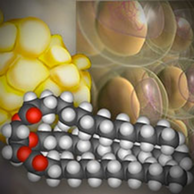 Molecular Structure of Fat | HHMI BioInteractive icon