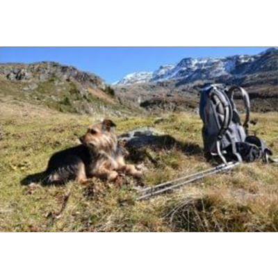 Camino de Santiago - The real experience