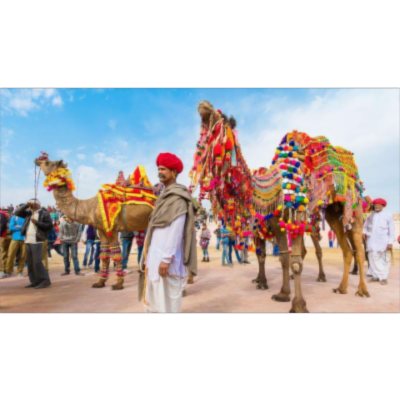 Travel Agency In Jaipur - Colourful Indian Holidays icon