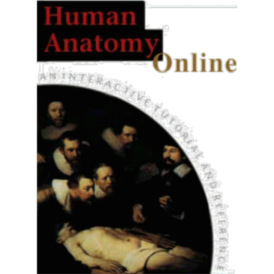 SUNY Downstate Human Anatomy Online Dissector icon