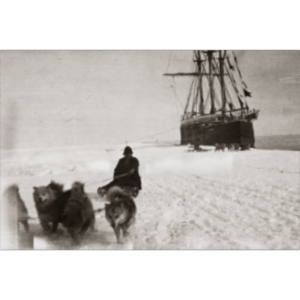 Race to the South Pole icon