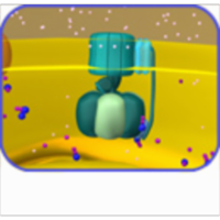 ATP Synthase Gradients--Tutorial and Animation icon