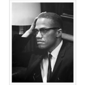 ESL CIVICS: MalcolmX.Org Website icon