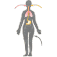 The Biology Project - Lung Toxicology icon