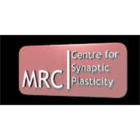 Brain Basics: Neuronal Communication icon