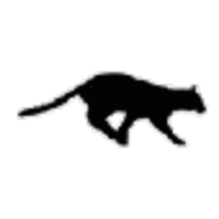 Bob's Cat Dissection Websight icon