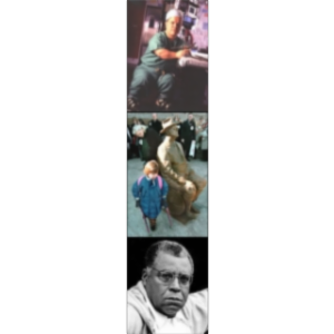 EDGE: Education for Disability and Gender Equity icon