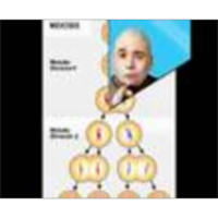 What's the Difference Between Mitosis and Meiosis icon