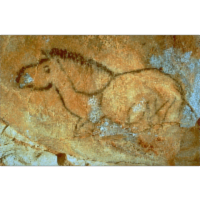 The Cosquer Cave icon