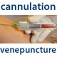Cannulation and Venepuncture