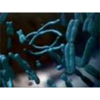 Mendelian Inheritance and Selfish Elements icon