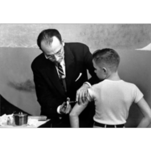 The History of Public Health icon