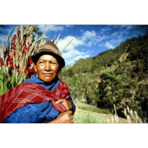 Songs in Quechua icon