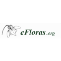 eFloras.org