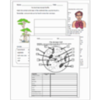 Science Lesson Plans icon