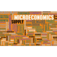 Principles of Microeconomics 1.0 icon